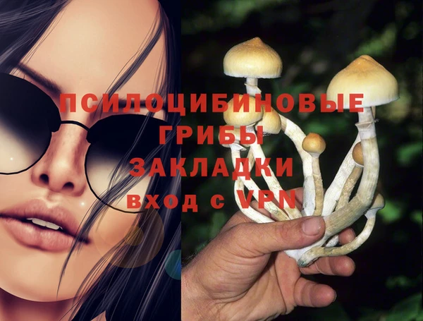 героин Алексин
