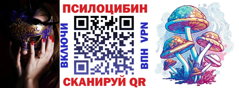 Псилоцибиновые грибы мицелий Полысаево
